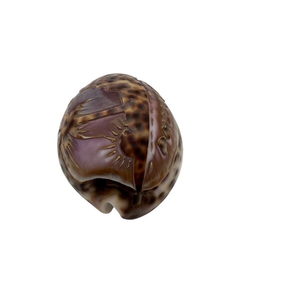Hand-Carved Purple Tiger Cowrie Shell With Beach Scene From Philippines 3" Long - Picture 5 of 6